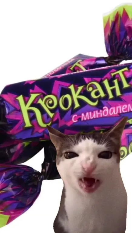 Кот поёт про Крокант