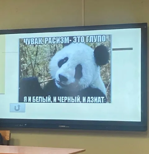 Панда против расизма