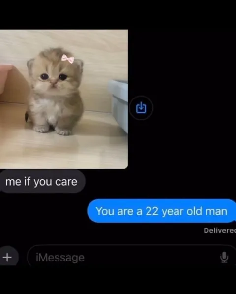 Me If You Care Kitten