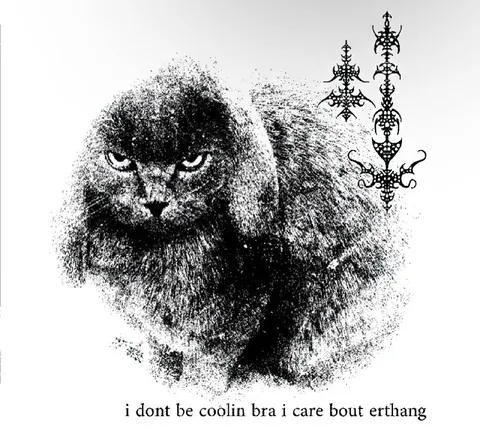I Care Bout Erthang Cat