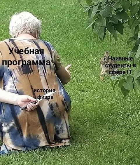 Учебная программа и наивные студенты