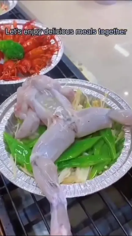 Delicious Meals Together