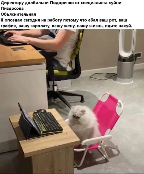 Объяснительная с посылом нахуй
