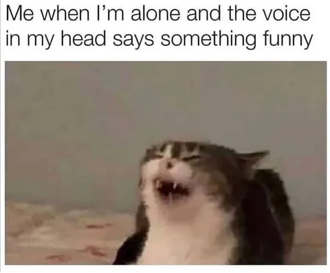 Laughing Alone at My Own Thought