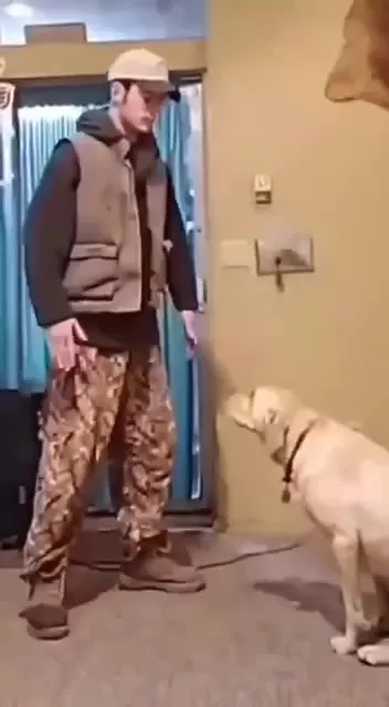 Мужчина танцует перед собакой