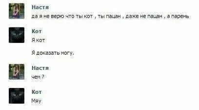 Кот доказывает, что он кот