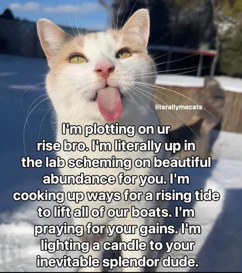Cat Praying for Your Gains