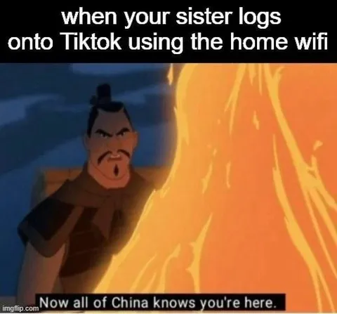 When Your Sister Uses Home Wi-Fi