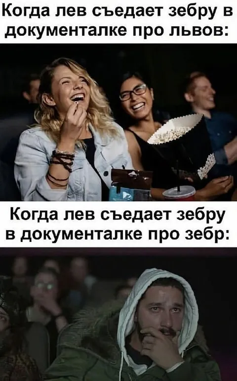 Лев съел зебру в документалке