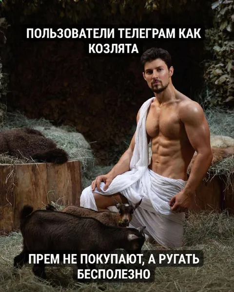 Пользователи Телеграм как козлята