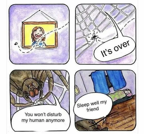 Spider Says Goodbye to Human