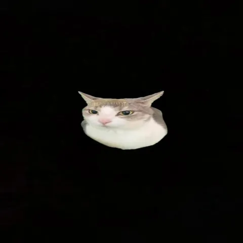 Кот размножается и исчезает