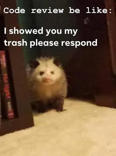 Code Review Trash Possum