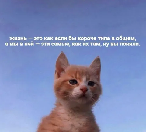 Жизнь — это как если бы