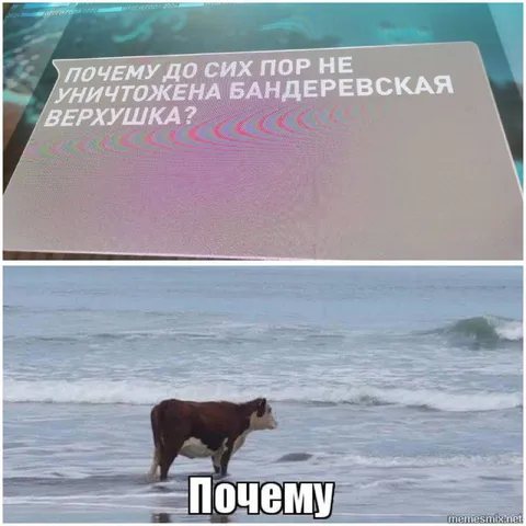 Почему не уничтожена верхушка