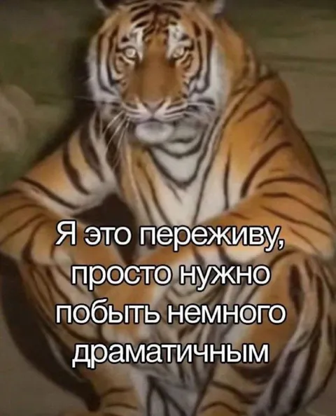Немного драматичный тигр