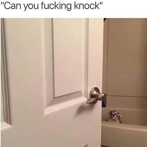 Can You Fucking Knock