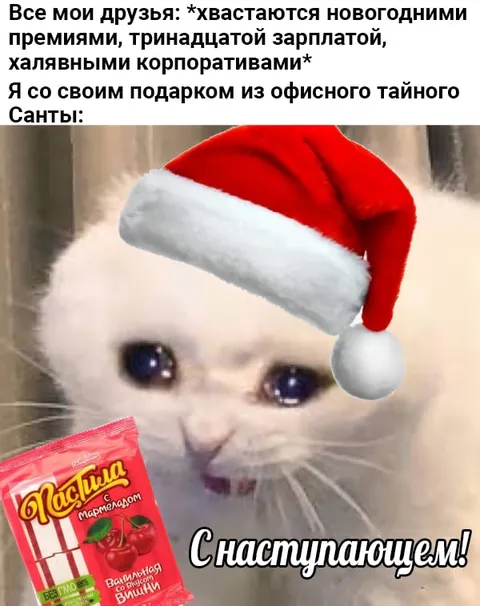Подарок от тайного Санты