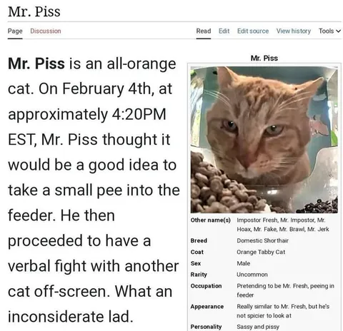 Mr. Piss Orange Cat Wiki