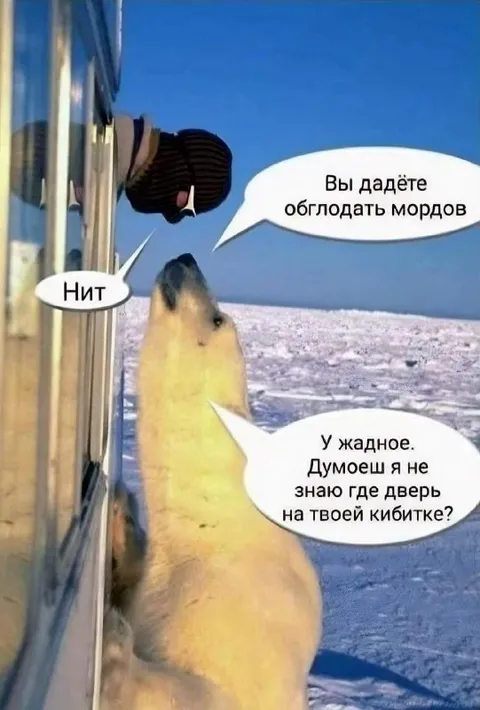 Хомяк требует обглодать морды