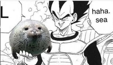 Vegeta Laughing at the Seal