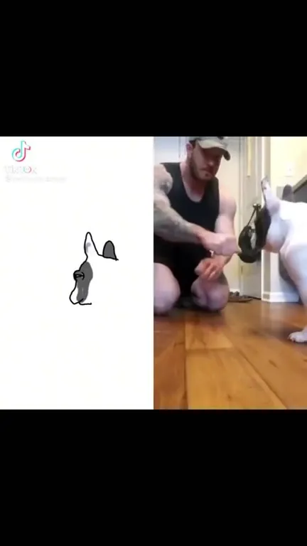 Dog Reacts to a Lemon