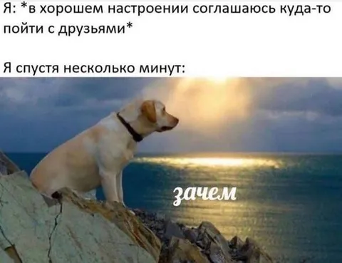 Согласился выйти и пожалел