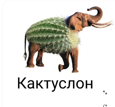Кактуслон — кактус-слон