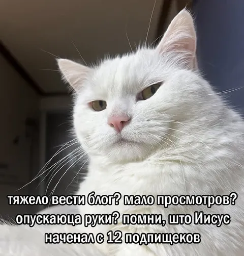 Иисус начинал с 12 подписчиков
