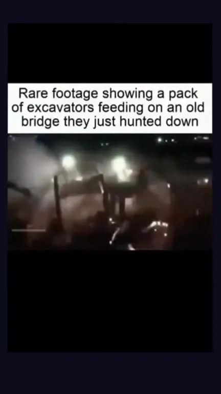 Excavators Feeding on a Bridge
