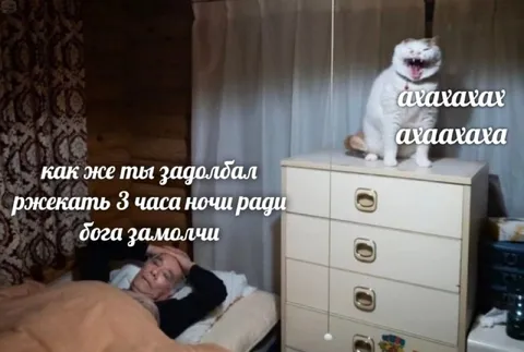 Как же ты задолбал ржекать