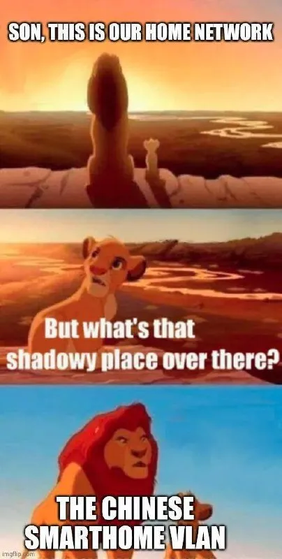 Chinese Smarthome VLAN