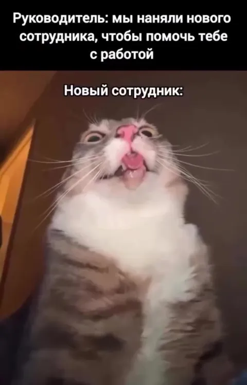 Новый сотрудник на работе
