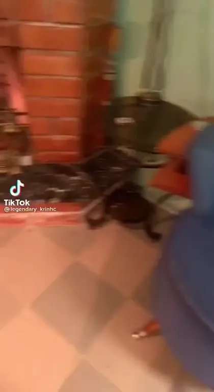 Камин и бильярдный стол
