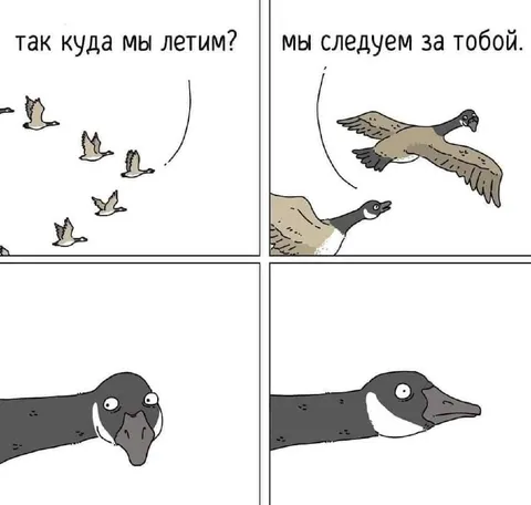 Мы следуем за тобой
