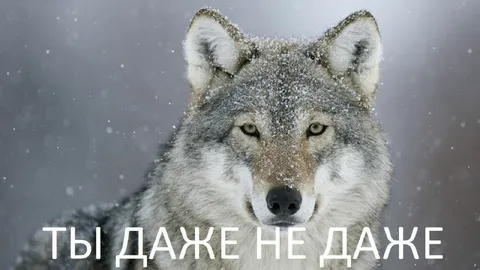 Ты даже не даже