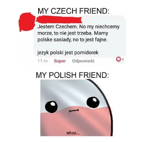 Czech Friend Praises Polish