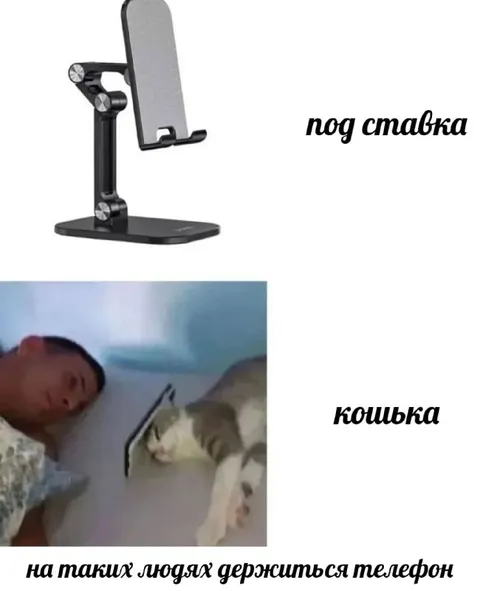 Кошка держит телефон