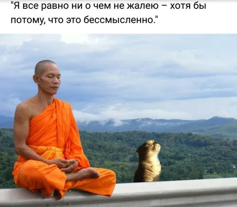 Бессмысленно сожалеть