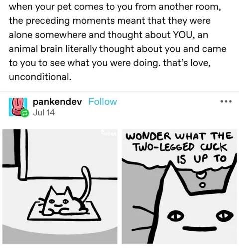 When Your Pet Thinks About You