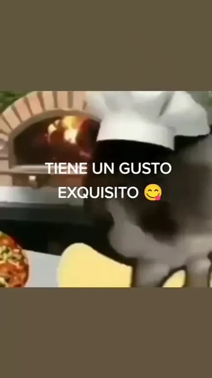 La pizzería del michi