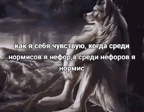 Нефор среди нормисов