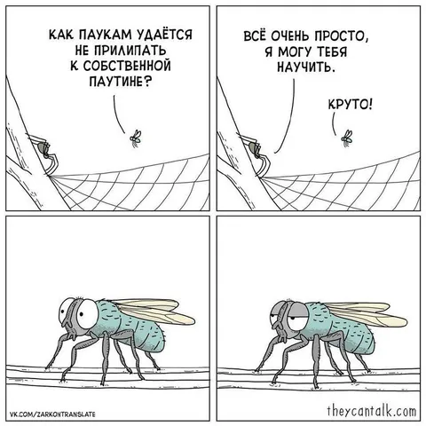 Муха учит паука паутине