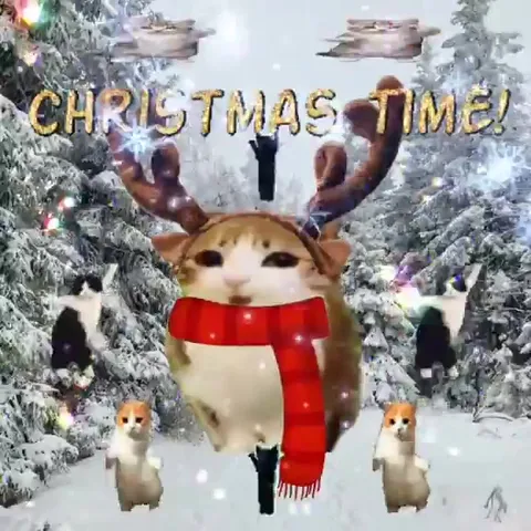 Christmas Time Cat Dance