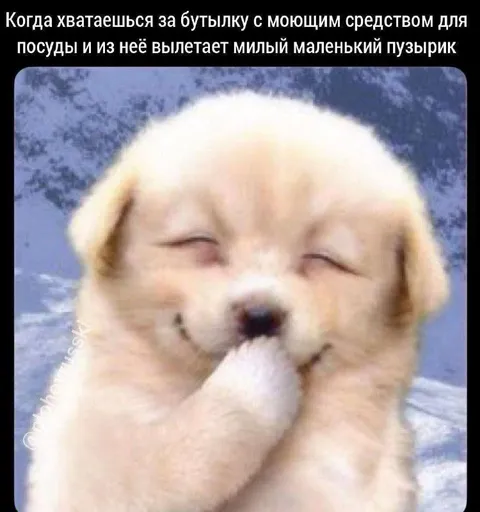 Милый пузырёк из бутылки