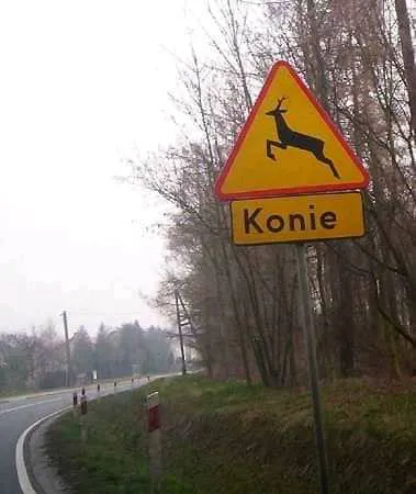 Znak ostrzegawczy Konie