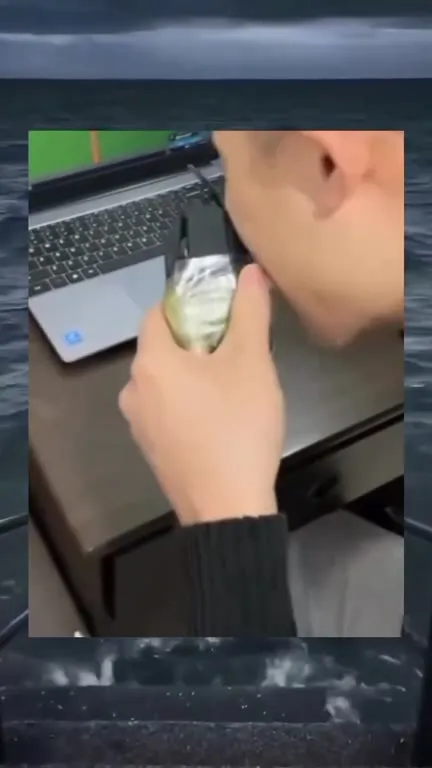 Когда компьютер отправили в море