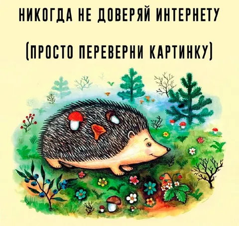 Ёжик с грибами на спине