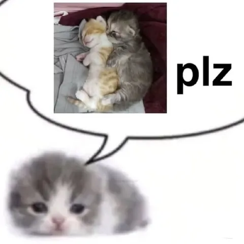 Plz Hug Me Kittens
