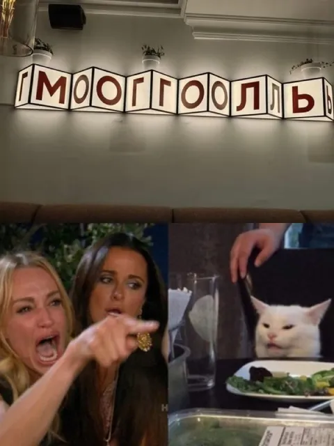 Женщина кричит на кота